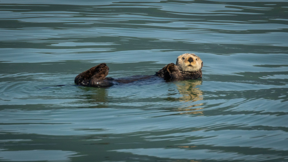 S00 A1083 Photography Art | Captured Adventure Photography