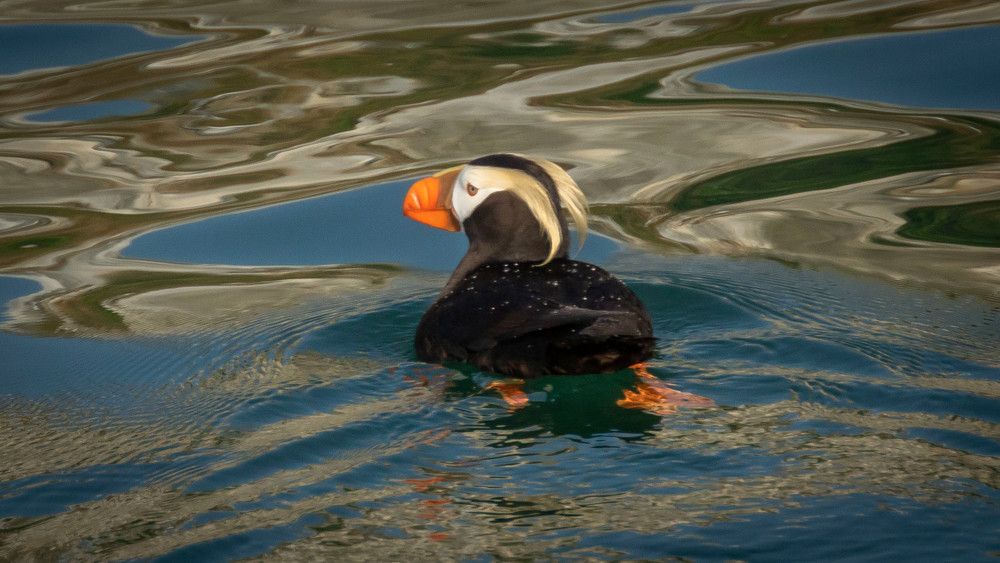 S00 A0440 Photography Art | Captured Adventure Photography