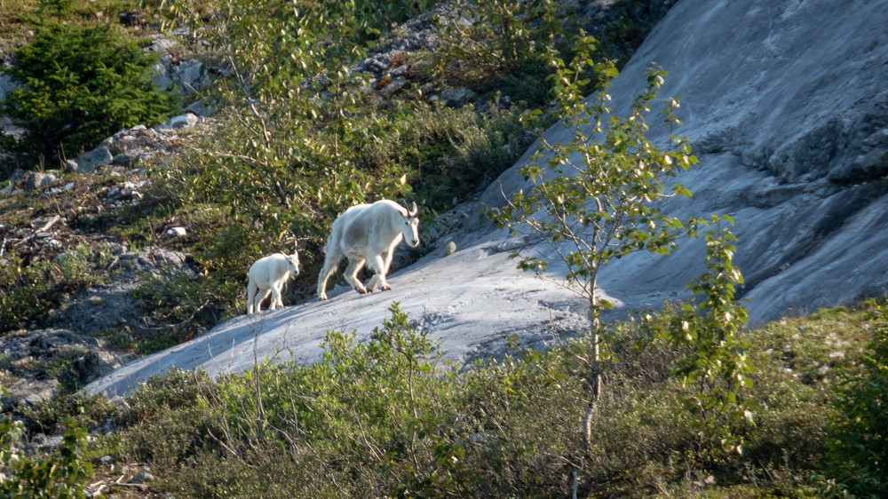 S00 A1291 Photography Art | Captured Adventure Photography