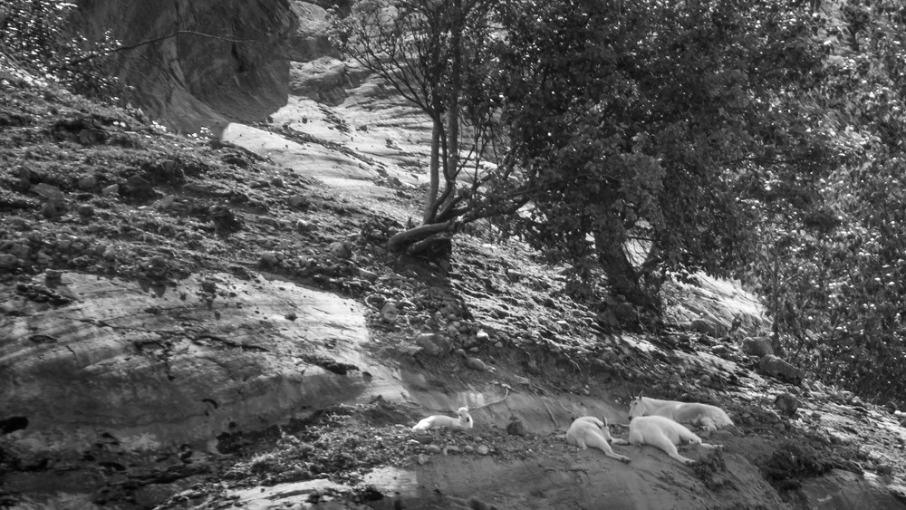 S00 A1466 Photography Art | Captured Adventure Photography