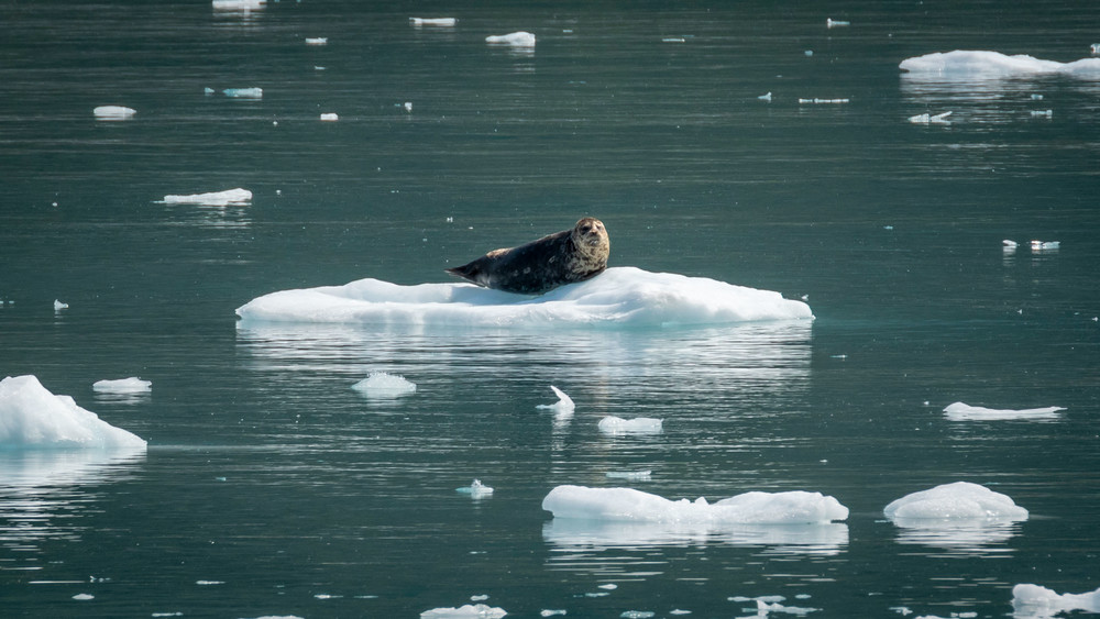 S00 A1897 Photography Art | Captured Adventure Photography