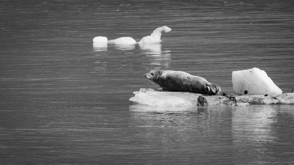 S00 A2015 Photography Art | Captured Adventure Photography