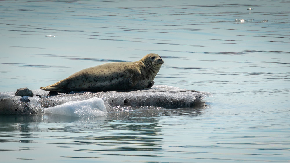 S00 A2061 Photography Art | Captured Adventure Photography