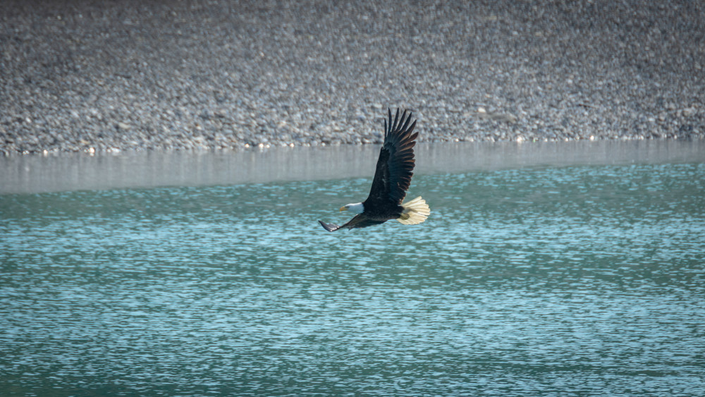 S00 A1518 Photography Art | Captured Adventure Photography