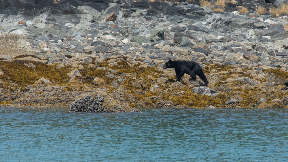 S00 A2215 Photography Art | Captured Adventure Photography