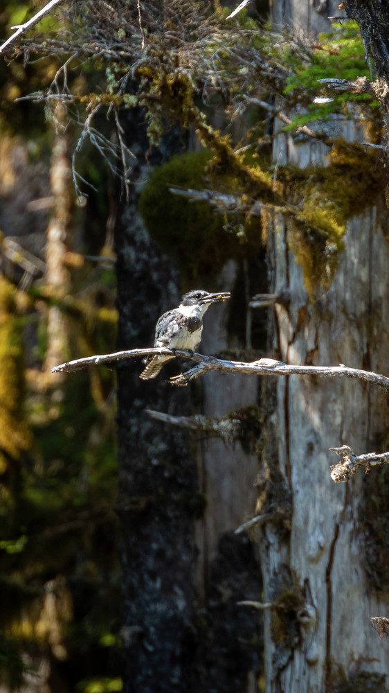 S00 A2616 Photography Art | Captured Adventure Photography