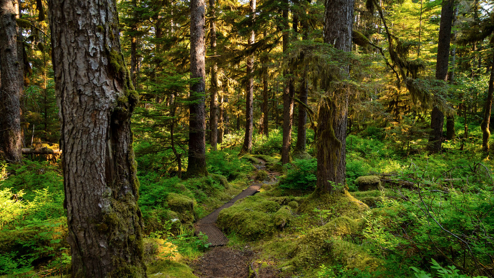 0 Y4 A4574 Photography Art | Captured Adventure Photography