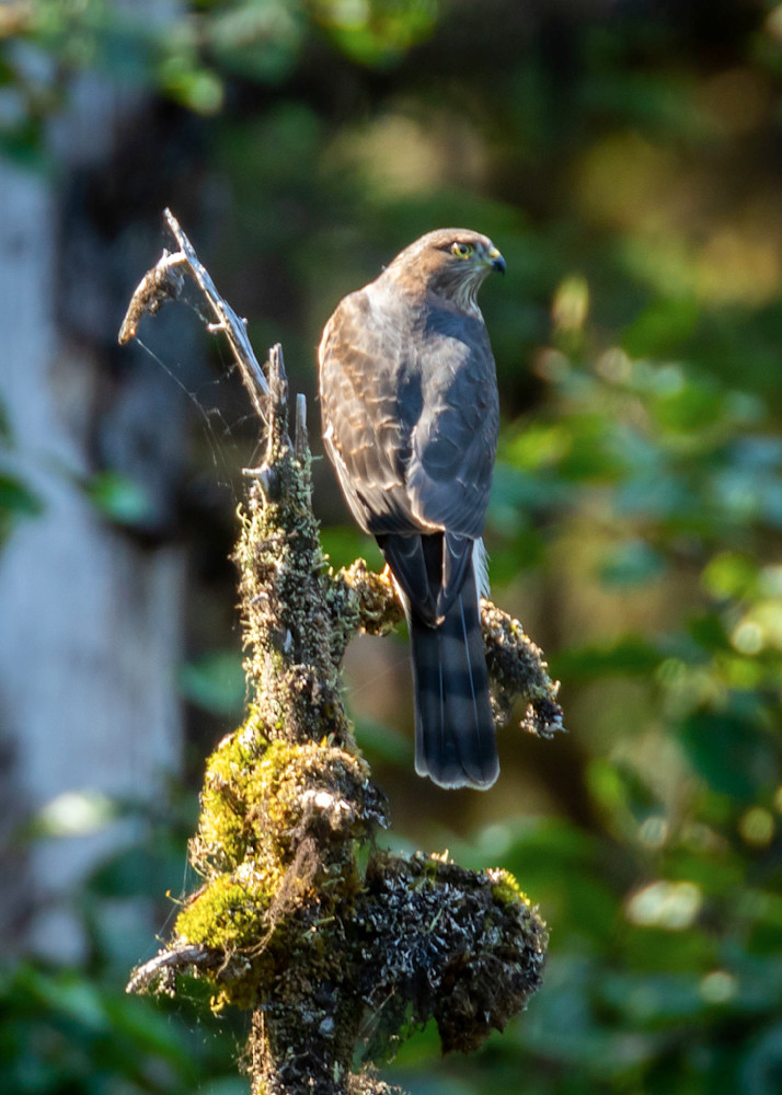 S00 A2577 Photography Art | Captured Adventure Photography