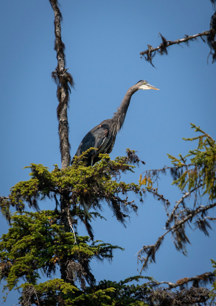 S00 A2666 Photography Art | Captured Adventure Photography