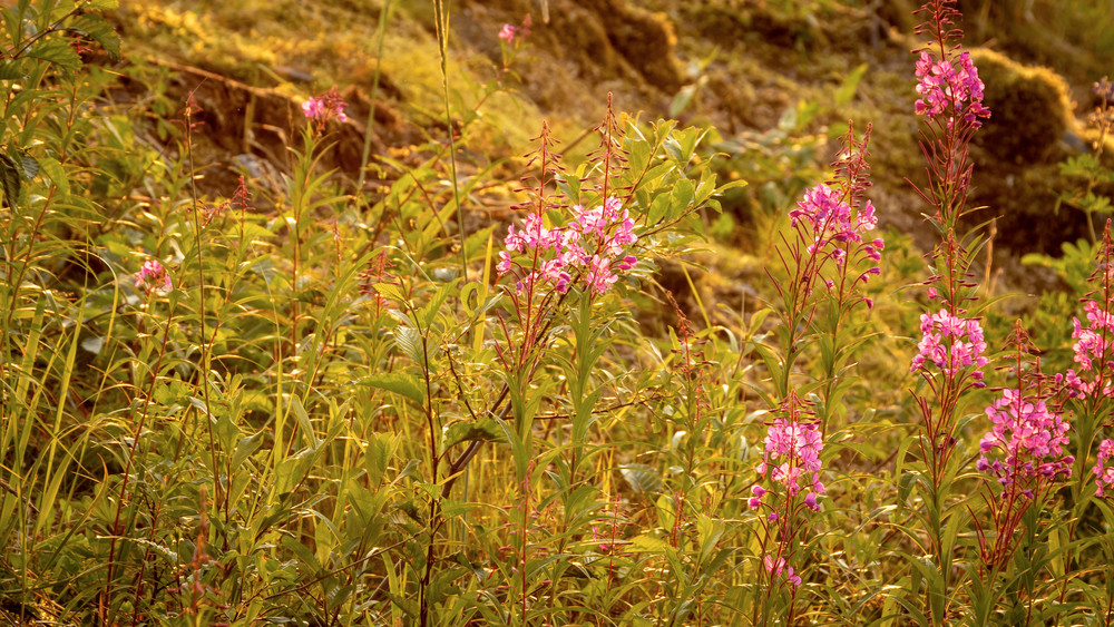 S00 A2519 Photography Art | Captured Adventure Photography