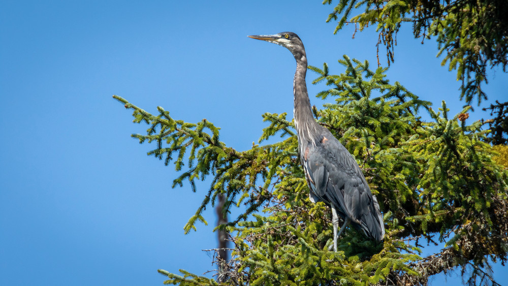 S00 A2786 Photography Art | Captured Adventure Photography