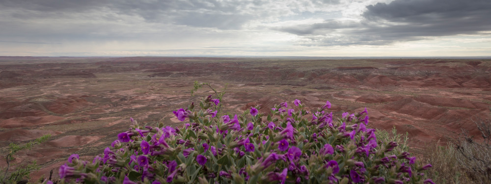 Mg 2723 Photography Art | Captured Adventure Photography