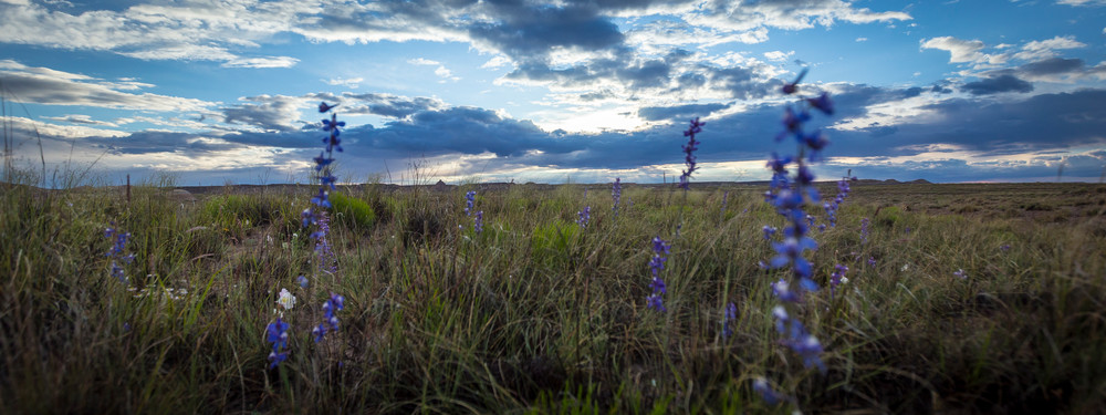 Mg 2608 Photography Art | Captured Adventure Photography