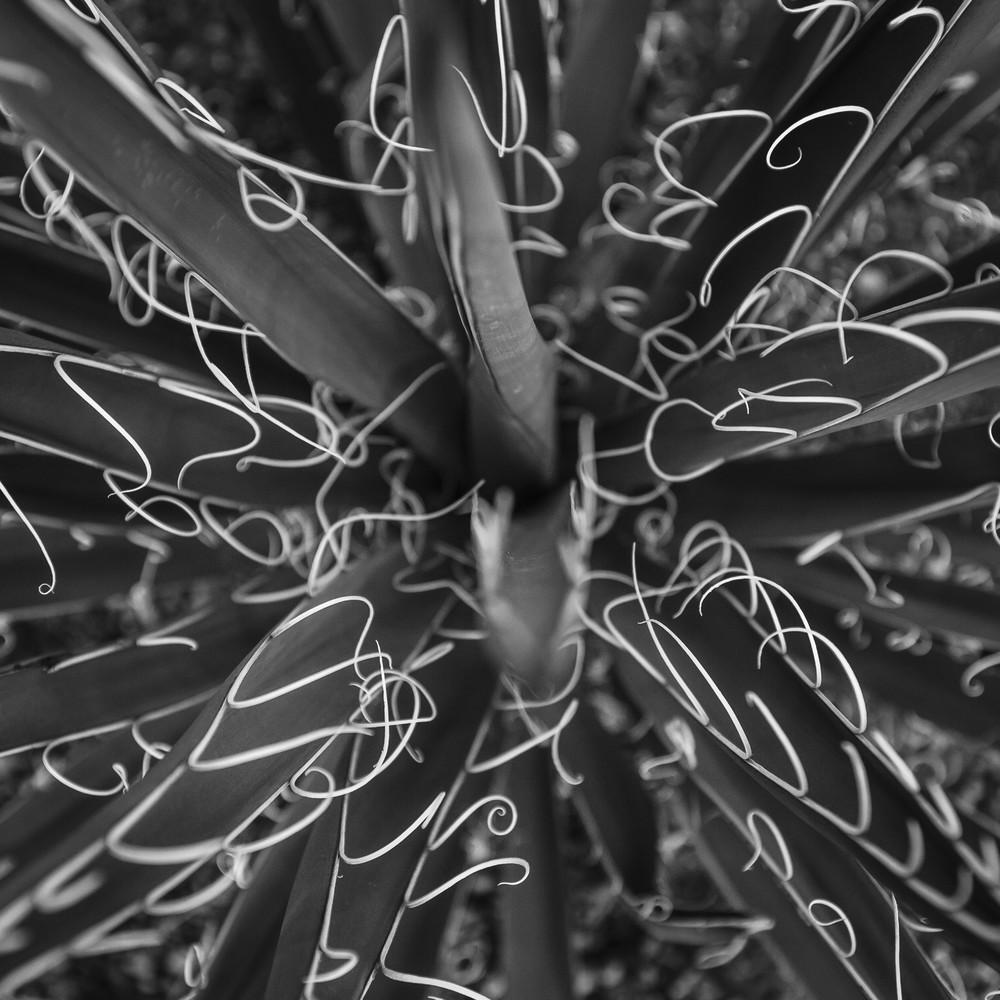 Mg 2790 Photography Art | Captured Adventure Photography