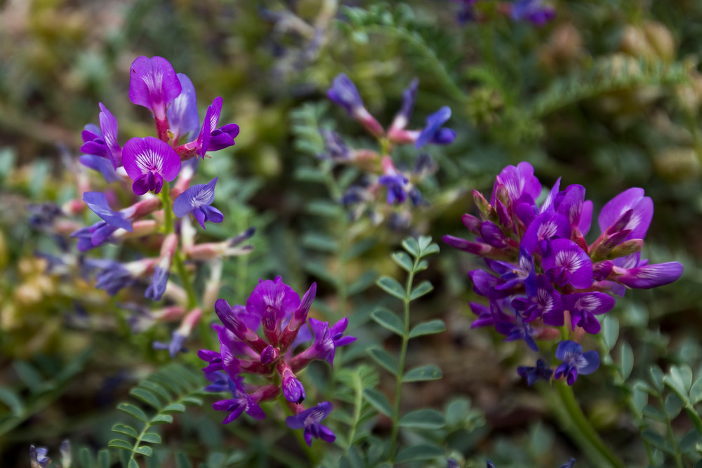 Mg 2798 Photography Art | Captured Adventure Photography