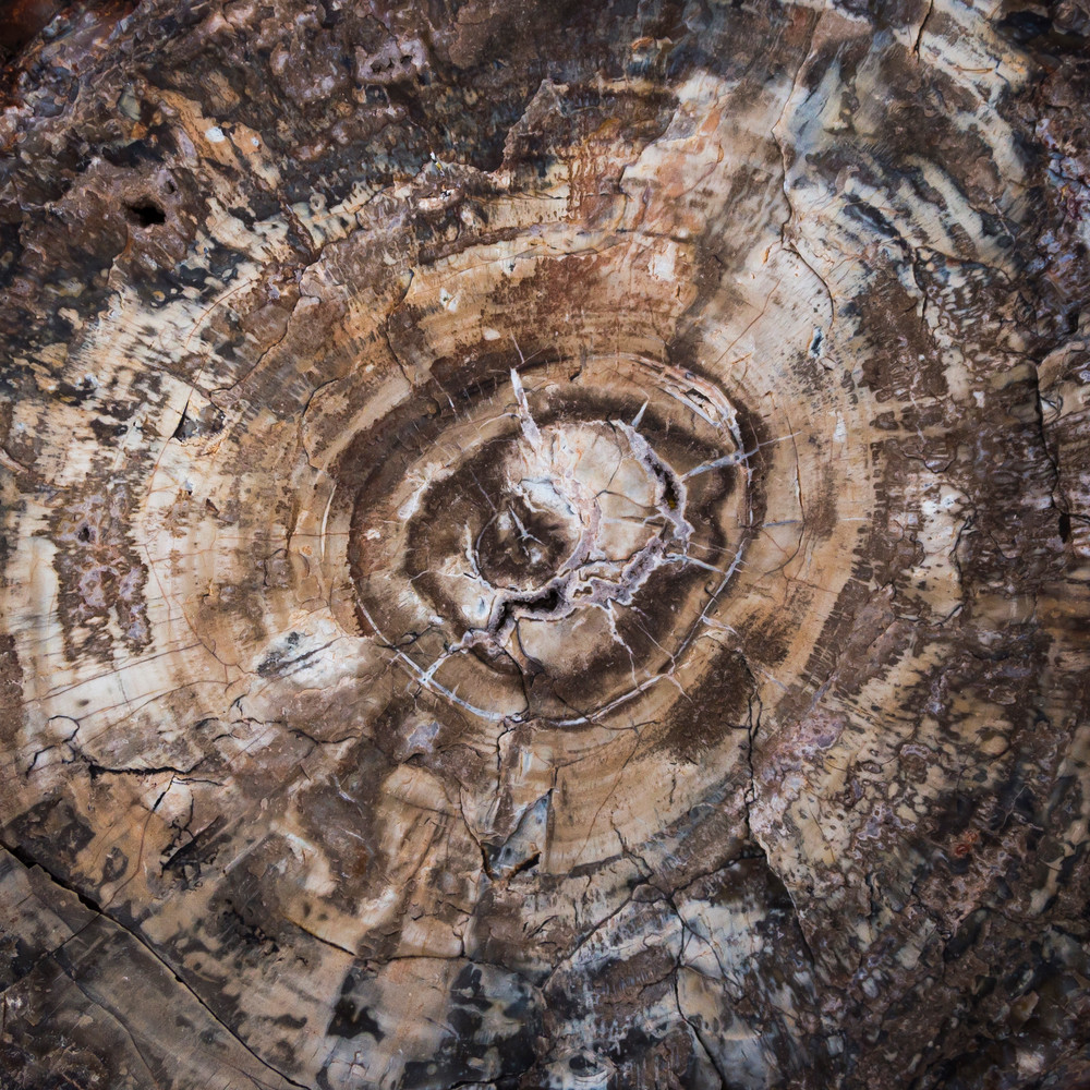 Mg 3054 Photography Art | Captured Adventure Photography