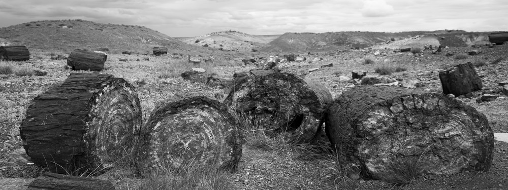 Mg 3081 Photography Art | Captured Adventure Photography