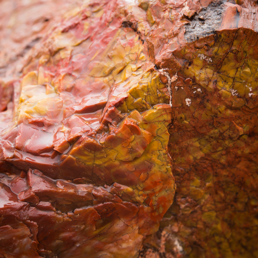 Mg 3108 Photography Art | Captured Adventure Photography