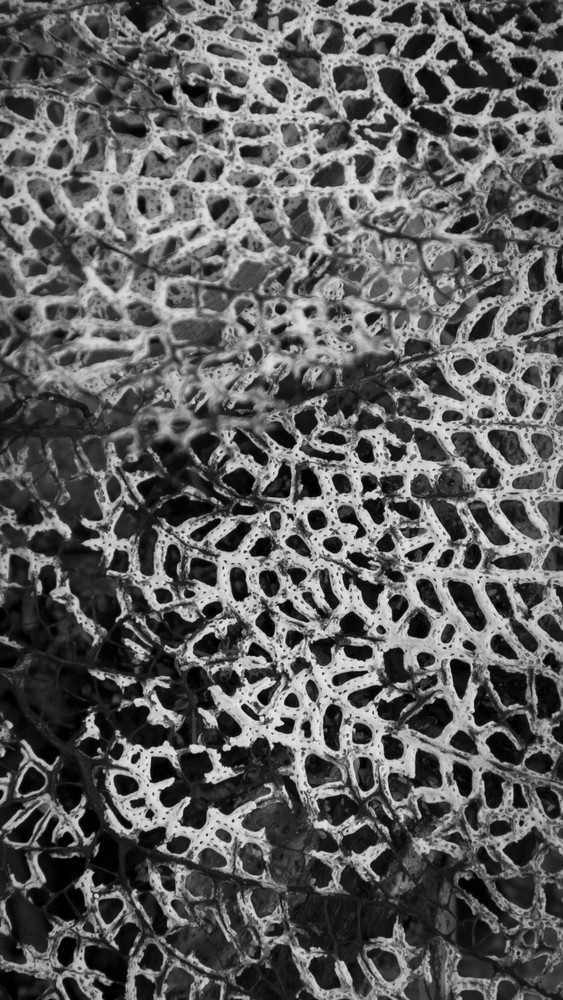 Mg 0415 Photography Art | Captured Adventure Photography