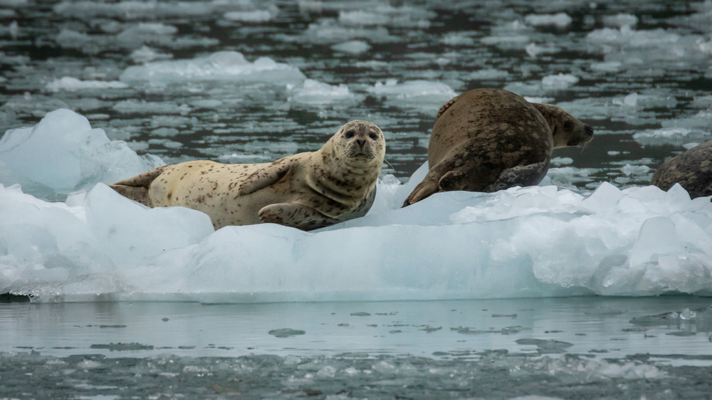 S00 A7011 Photography Art | Captured Adventure Photography