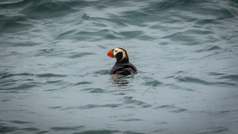 S00 A8265 Photography Art | Captured Adventure Photography