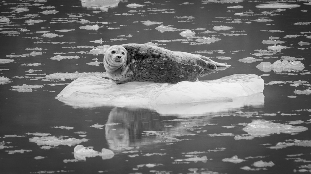 S00 A7052 Photography Art | Captured Adventure Photography