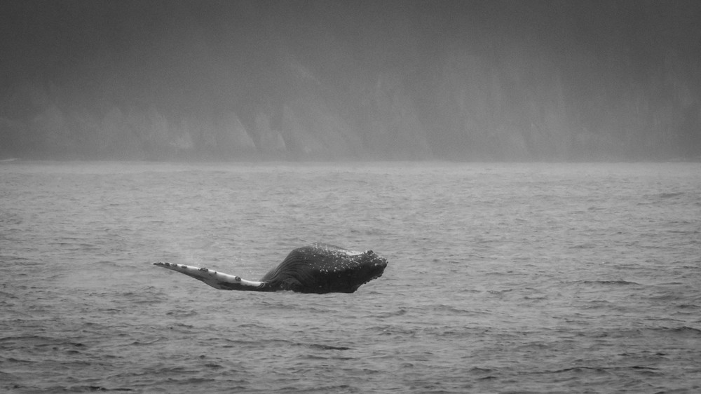 S00 A9719 2 Photography Art | Captured Adventure Photography