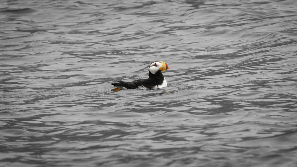 S00 A8403 1 Photography Art | Captured Adventure Photography