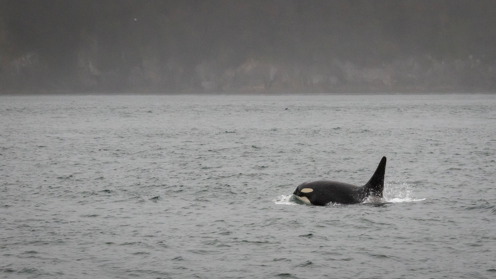 S00 A8961 Photography Art | Captured Adventure Photography