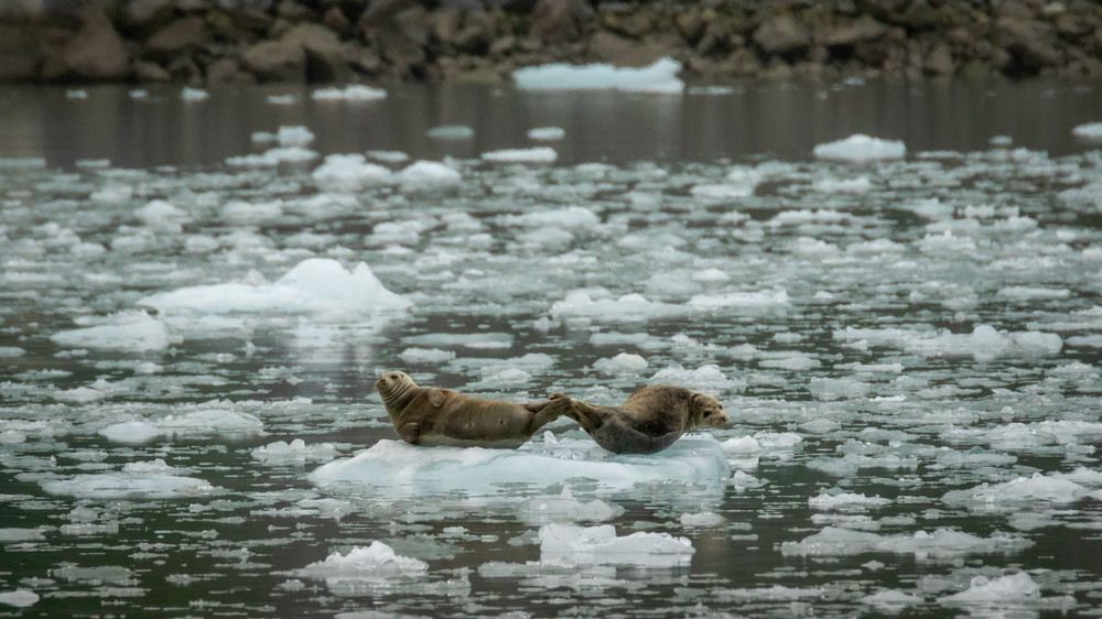 S00 A6980 Photography Art | Captured Adventure Photography