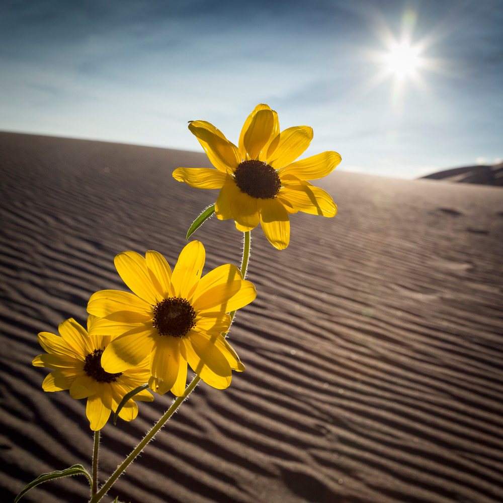 Mg 5619 Photography Art | Captured Adventure Photography