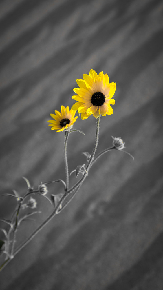 Mg 5719 Photography Art | Captured Adventure Photography