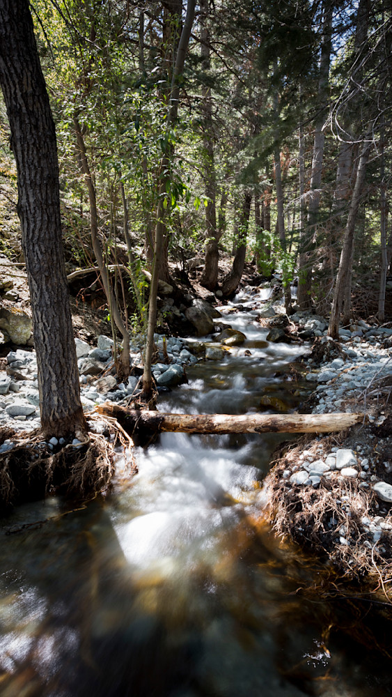 Mg 6507 Photography Art | Captured Adventure Photography