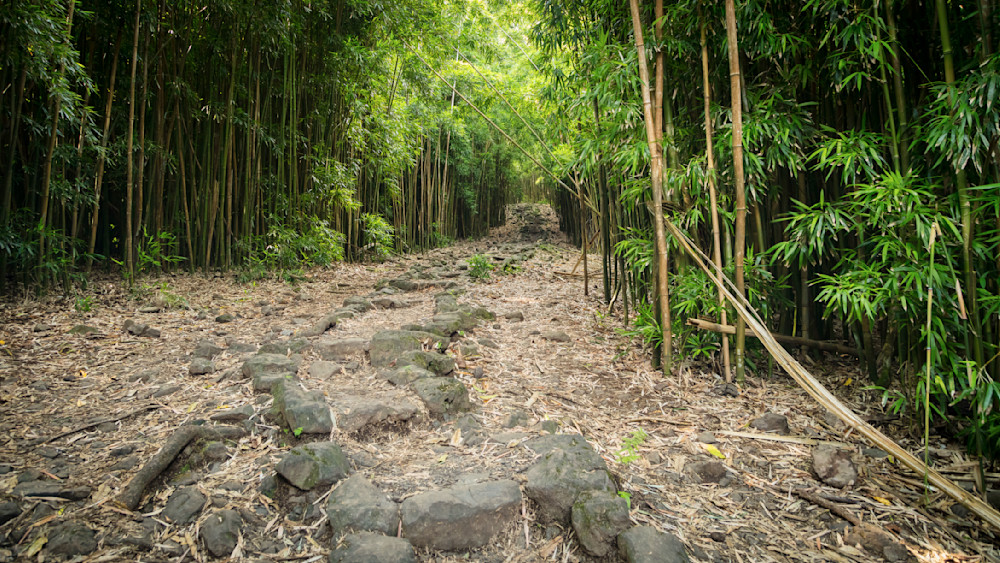 0 Y4 A0075 Photography Art | Captured Adventure Photography