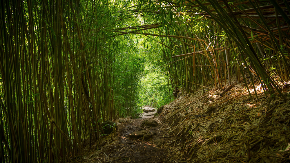 0 Y4 A0036 Photography Art | Captured Adventure Photography