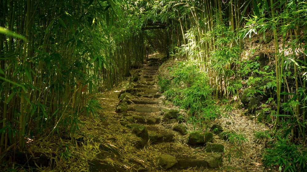 0 Y4 A0012 Photography Art | Captured Adventure Photography