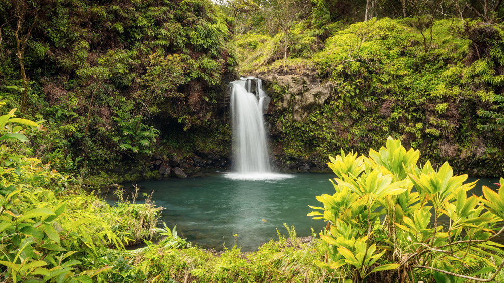 0 Y4 A9888 Photography Art | Captured Adventure Photography