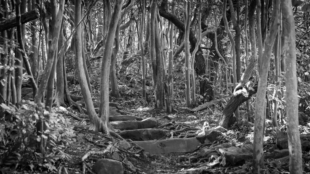 0 Y4 A9982 Photography Art | Captured Adventure Photography