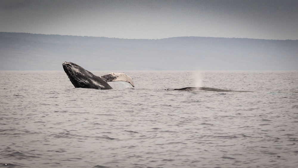 S00 A8267 1 Photography Art | Captured Adventure Photography