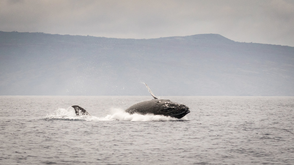 S00 A8507 Photography Art | Captured Adventure Photography