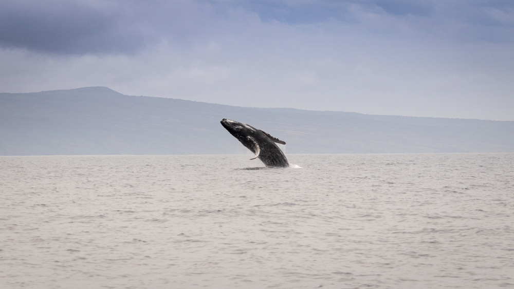 S00 A8238 Photography Art | Captured Adventure Photography