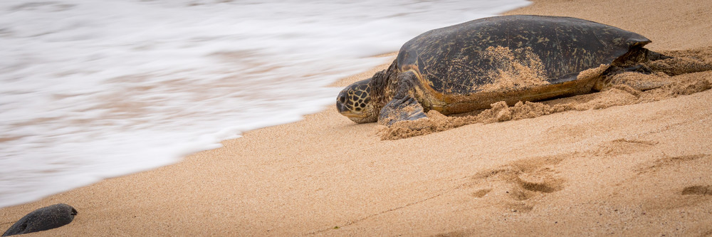 S00 A8868 Photography Art | Captured Adventure Photography