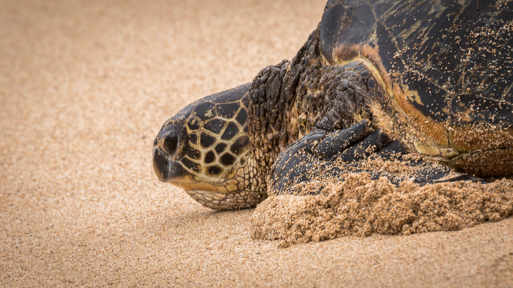 S00 A8858 Photography Art | Captured Adventure Photography