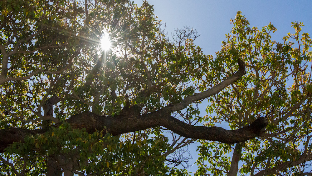 Img 0381 Photography Art | Captured Adventure Photography