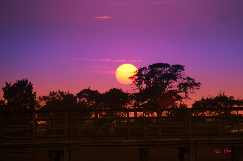 Summer Sunrise