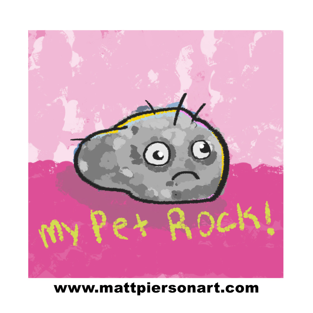 my pet rock