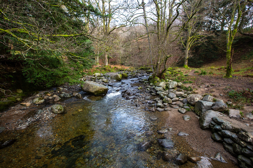 Aira Beck in the Lake District Photograph For Sale As Fine Art
