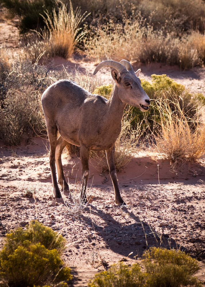 0 Y4 A8911 Photography Art | Captured Adventure Photography