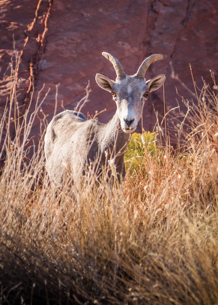 0 Y4 A8906 Photography Art | Captured Adventure Photography