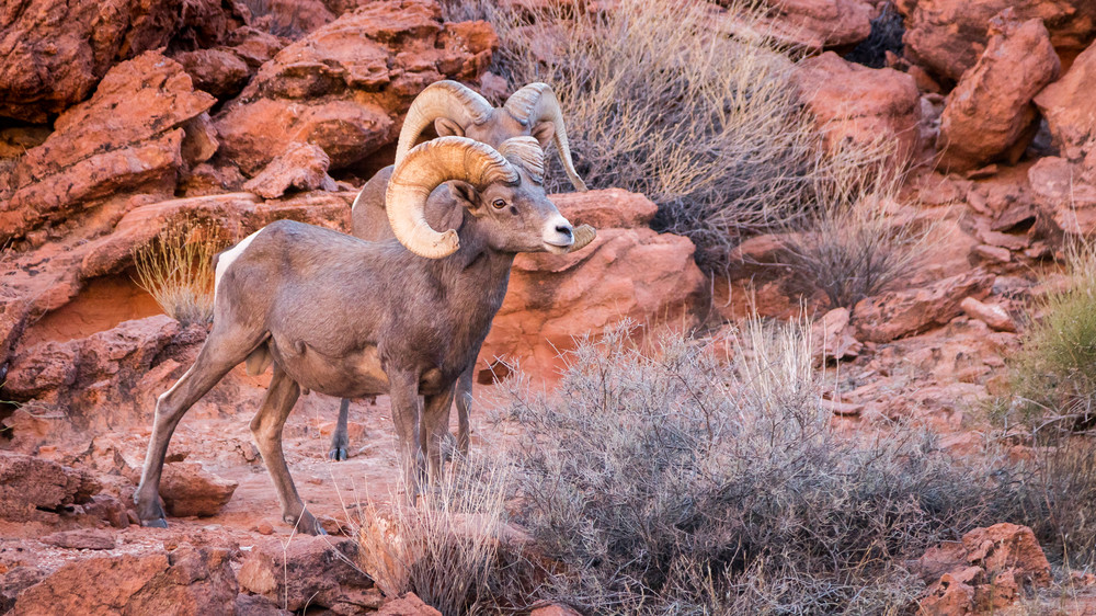 0 Y4 A8969 Photography Art | Captured Adventure Photography